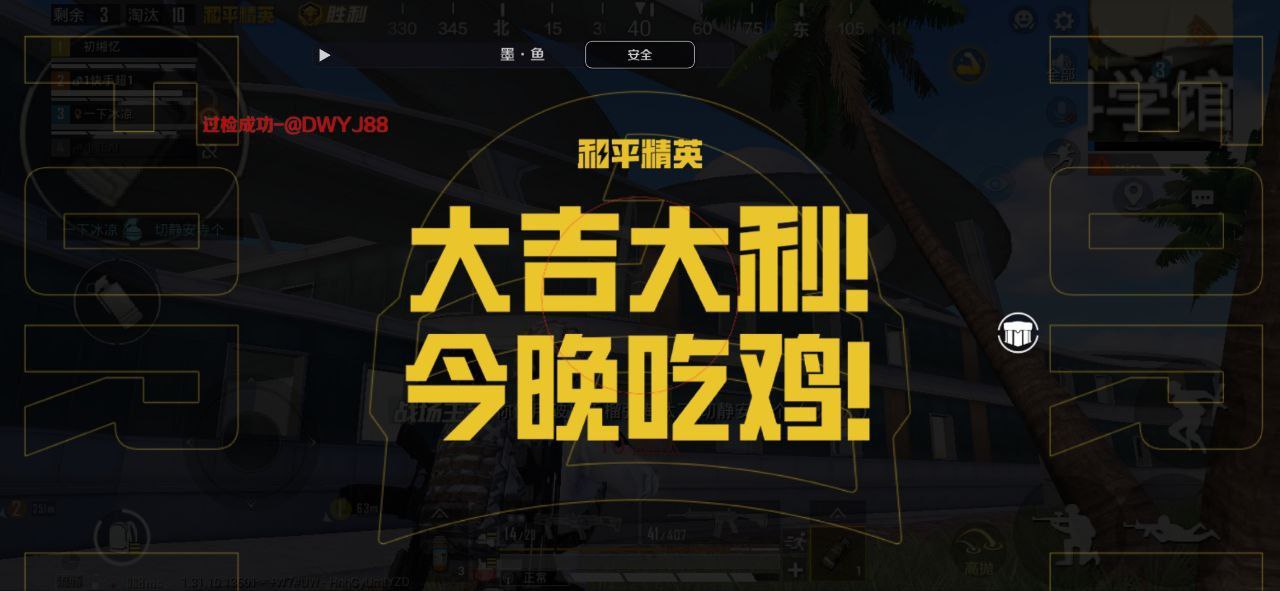 和平精英《迪达拉pro》辅助